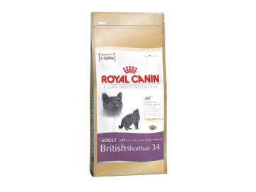 Royal Canin British Shorthair kattefoder voksenfoder