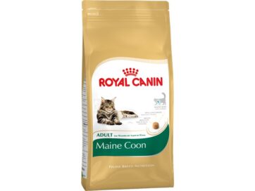 Royal Canin Maine Coon kattefoder voksenfoder