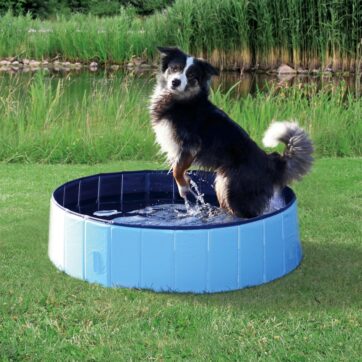 dog pool small