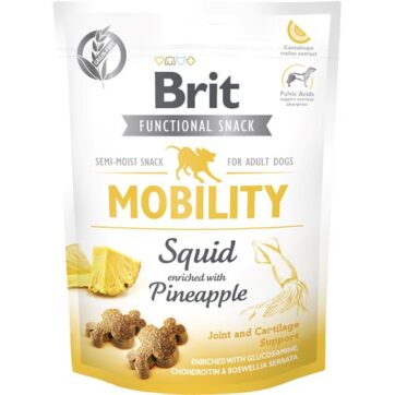 Brit Mobility