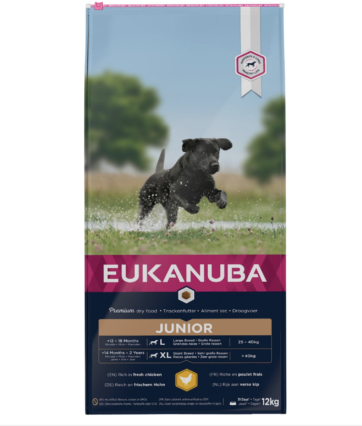 EUKANUBA Junior Large Breed Kylling 12 kg